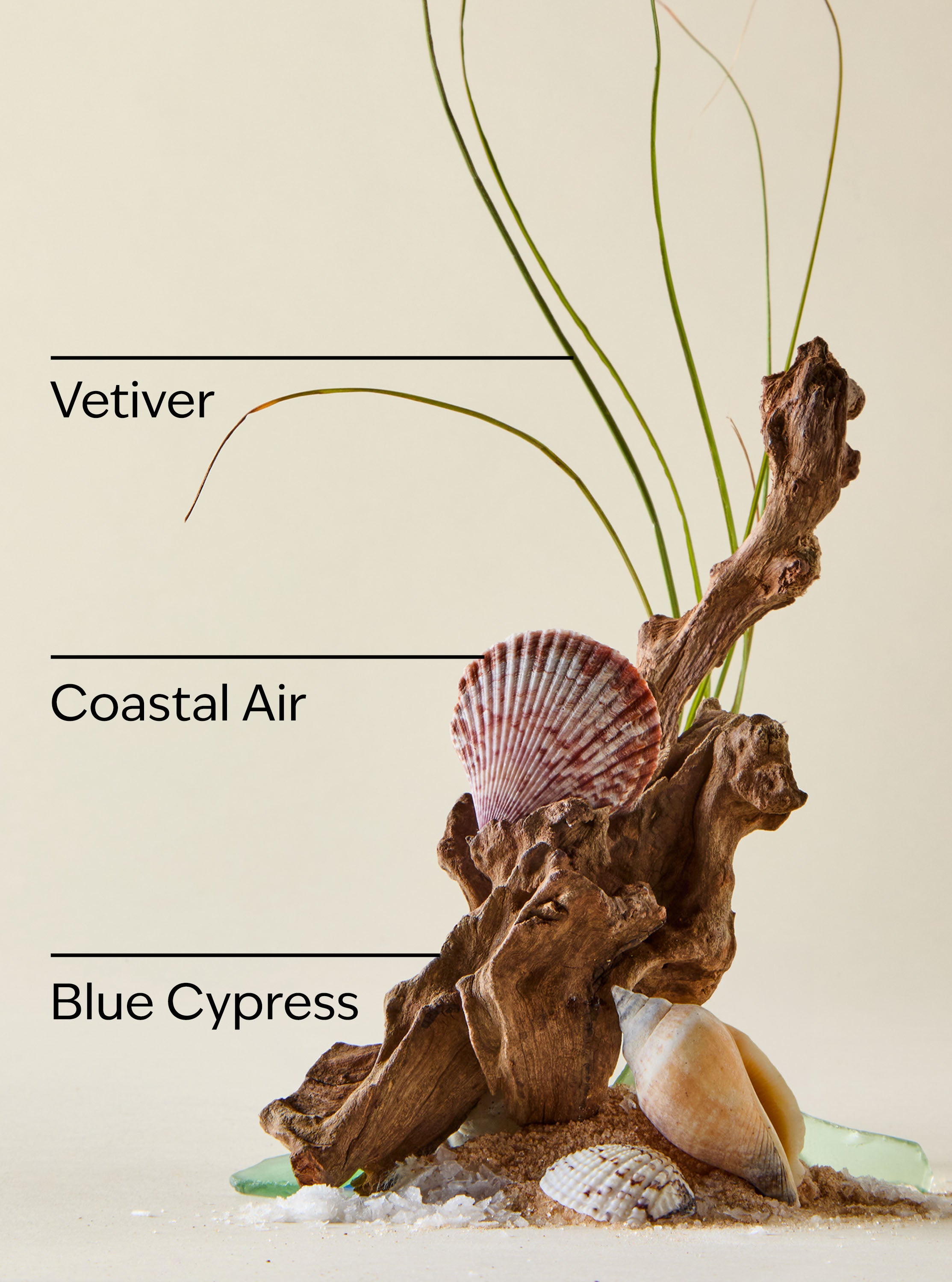 Ocean Tent Gift - Image 3