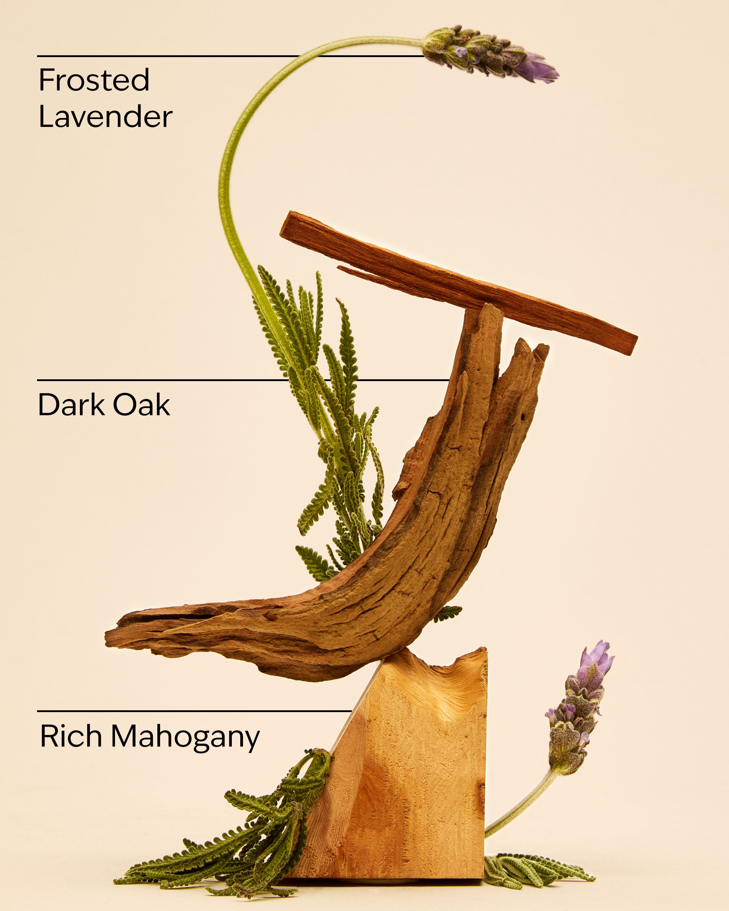 MAHOGANY TEAKWOOD - Image 3