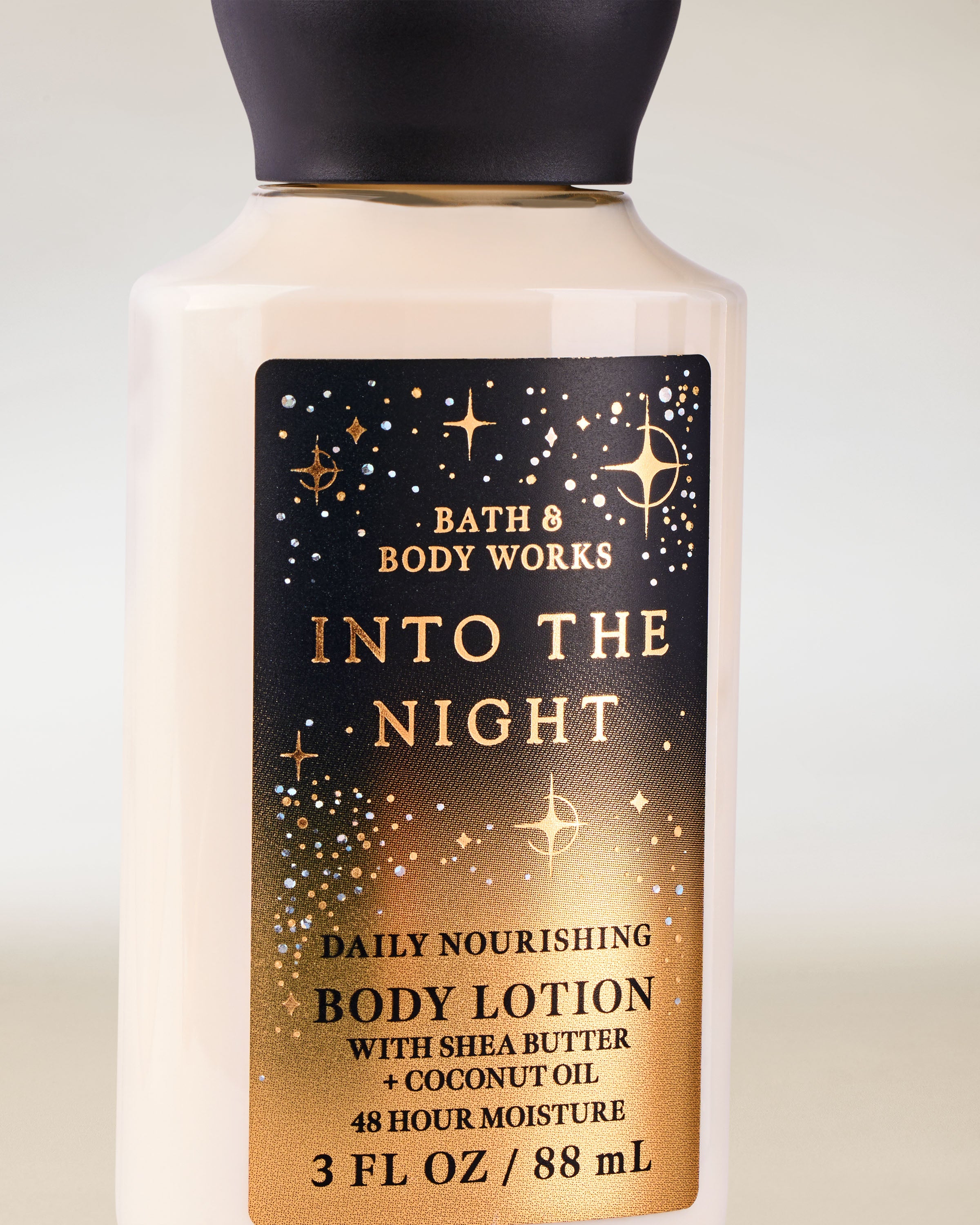 INTO THE NIGHT - Image 2