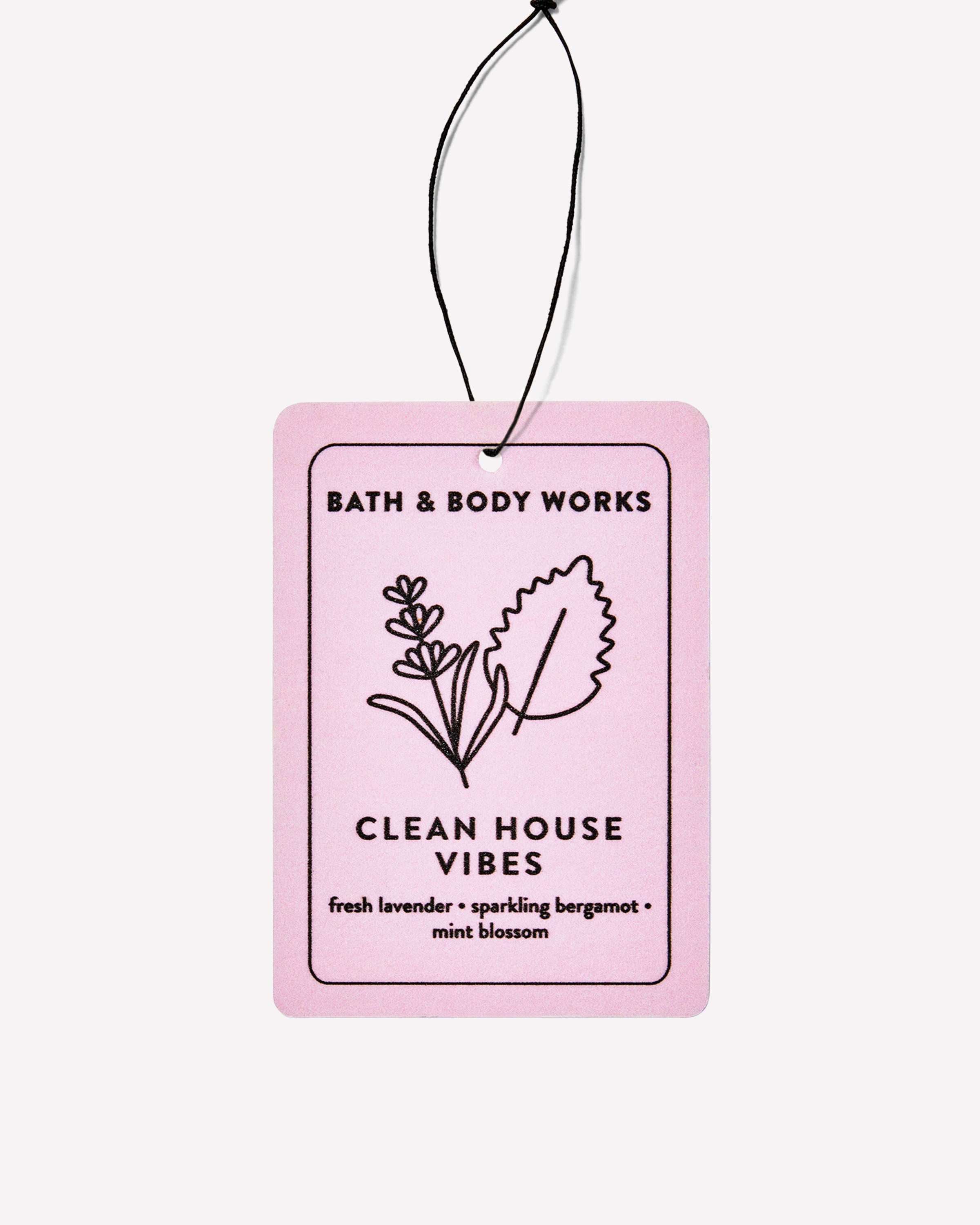 Clean House Vibes-5685