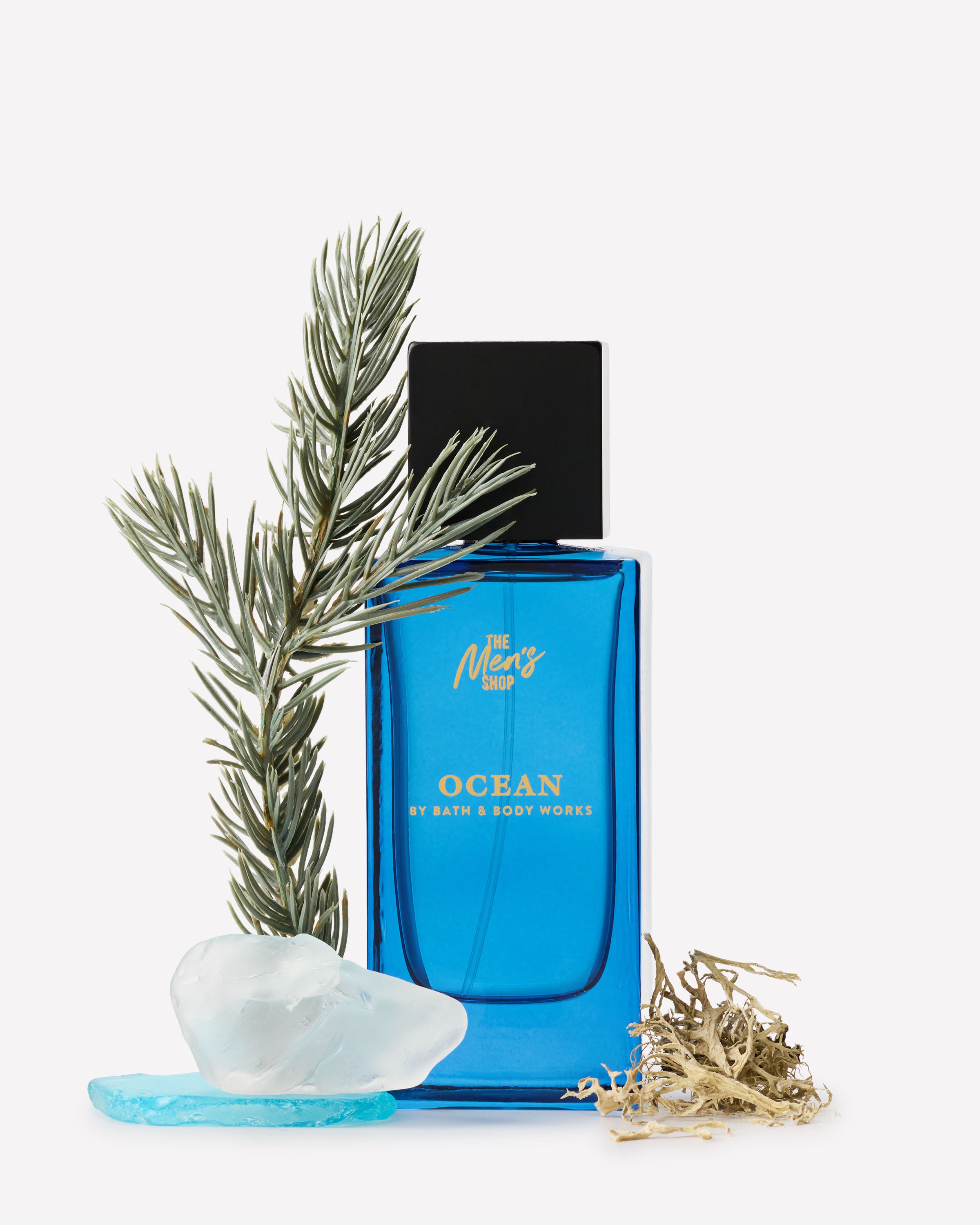 Ocean