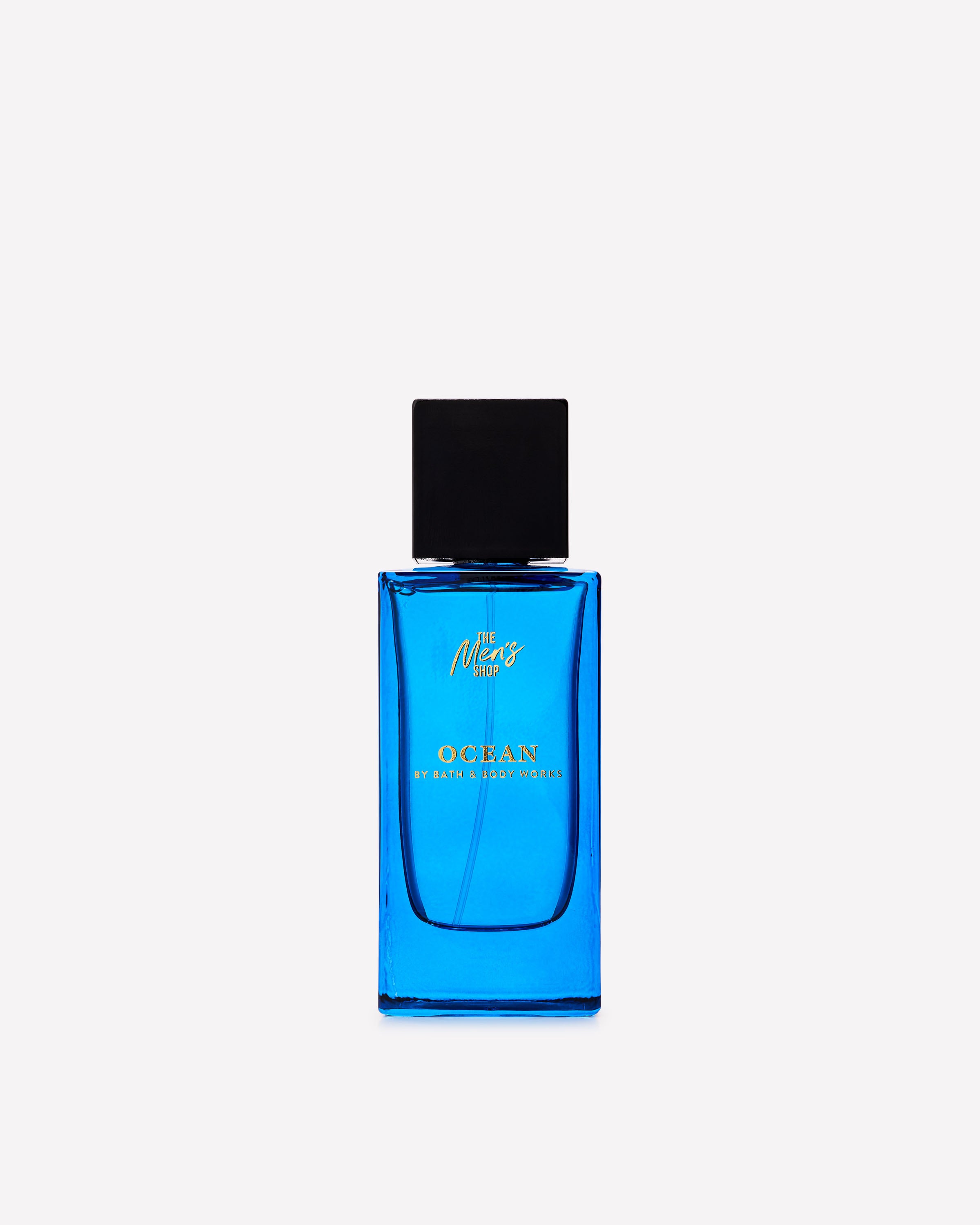 Ocean - Image 4