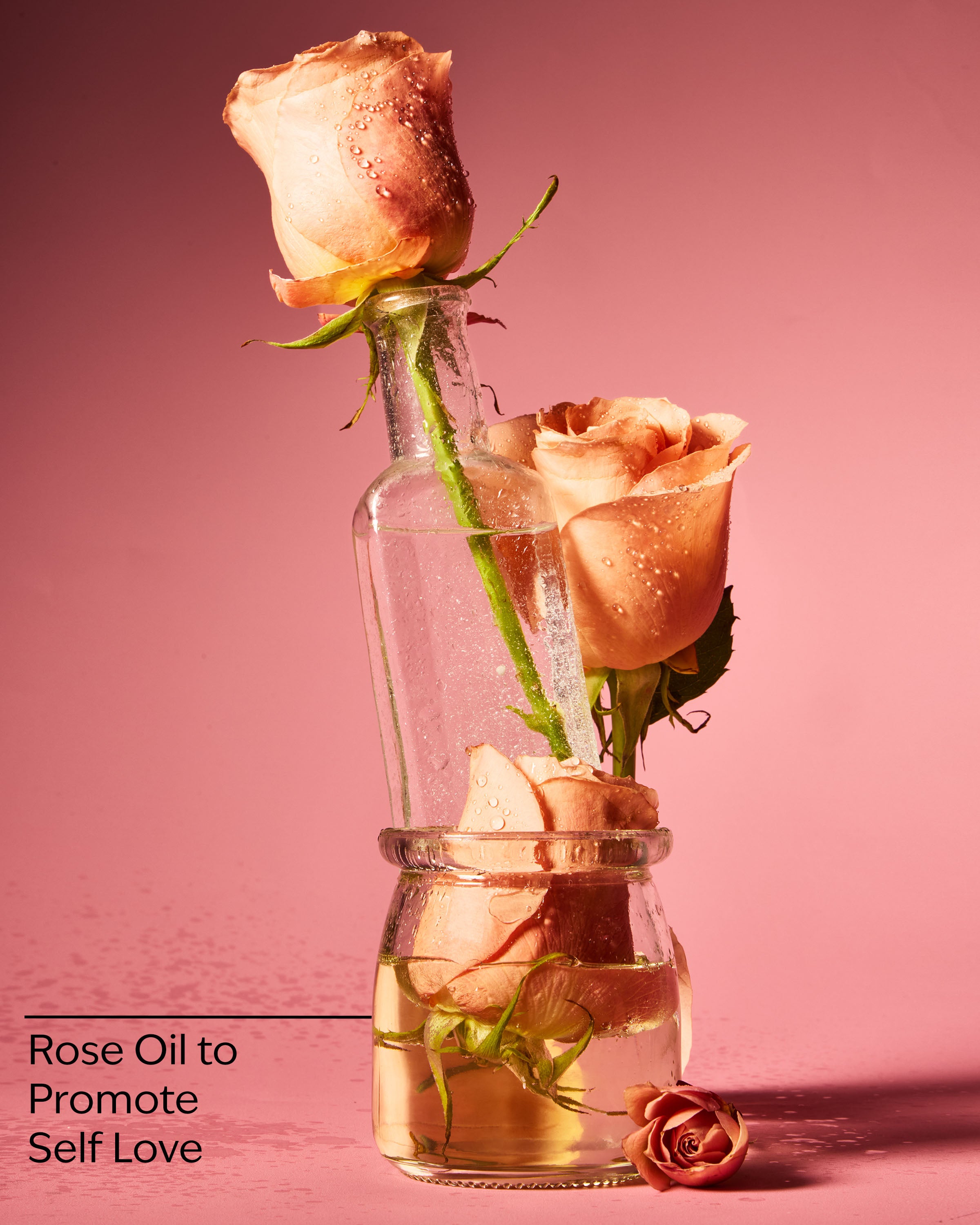HEIRLOOM ROSE - Image 3