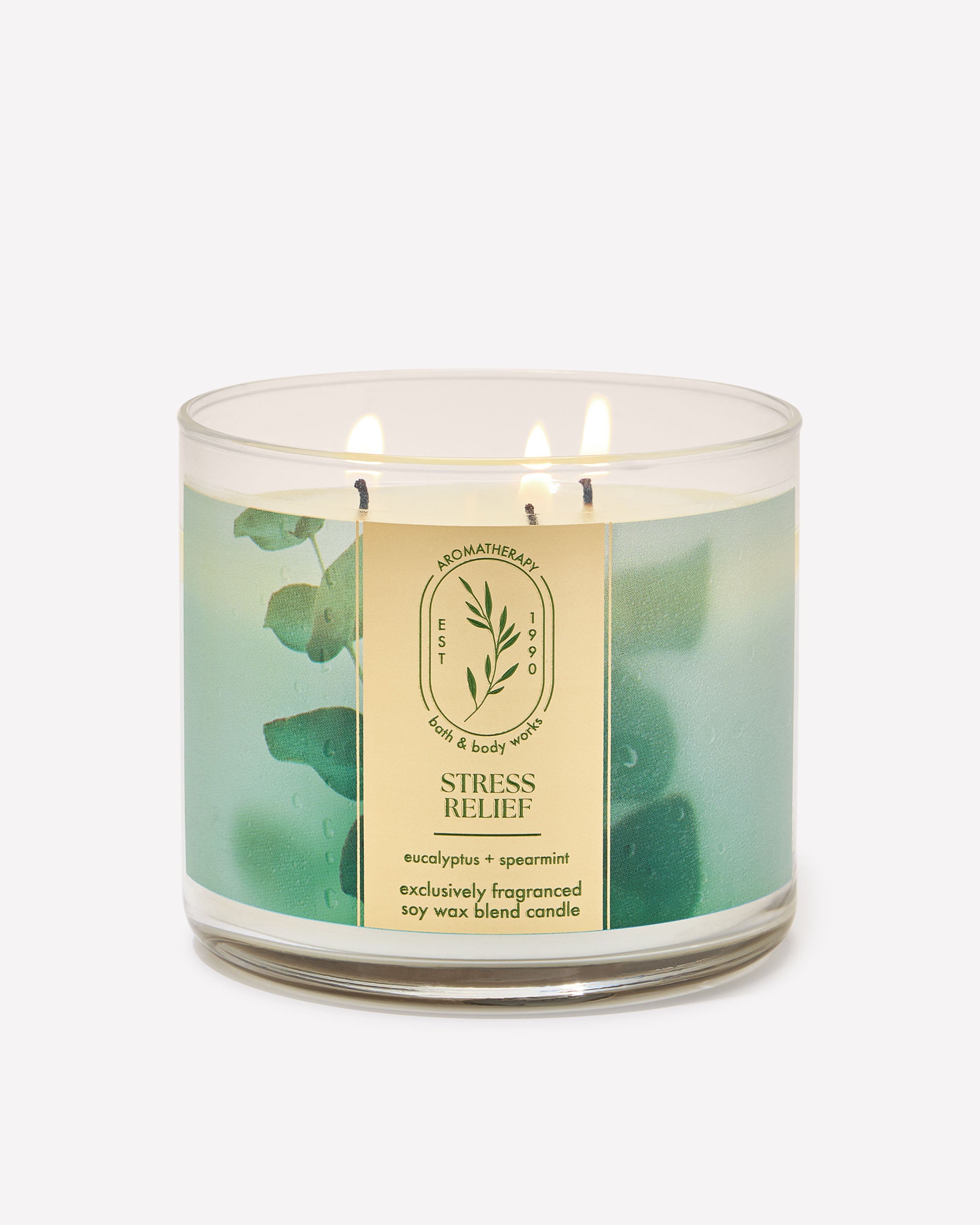 Eucalyptus