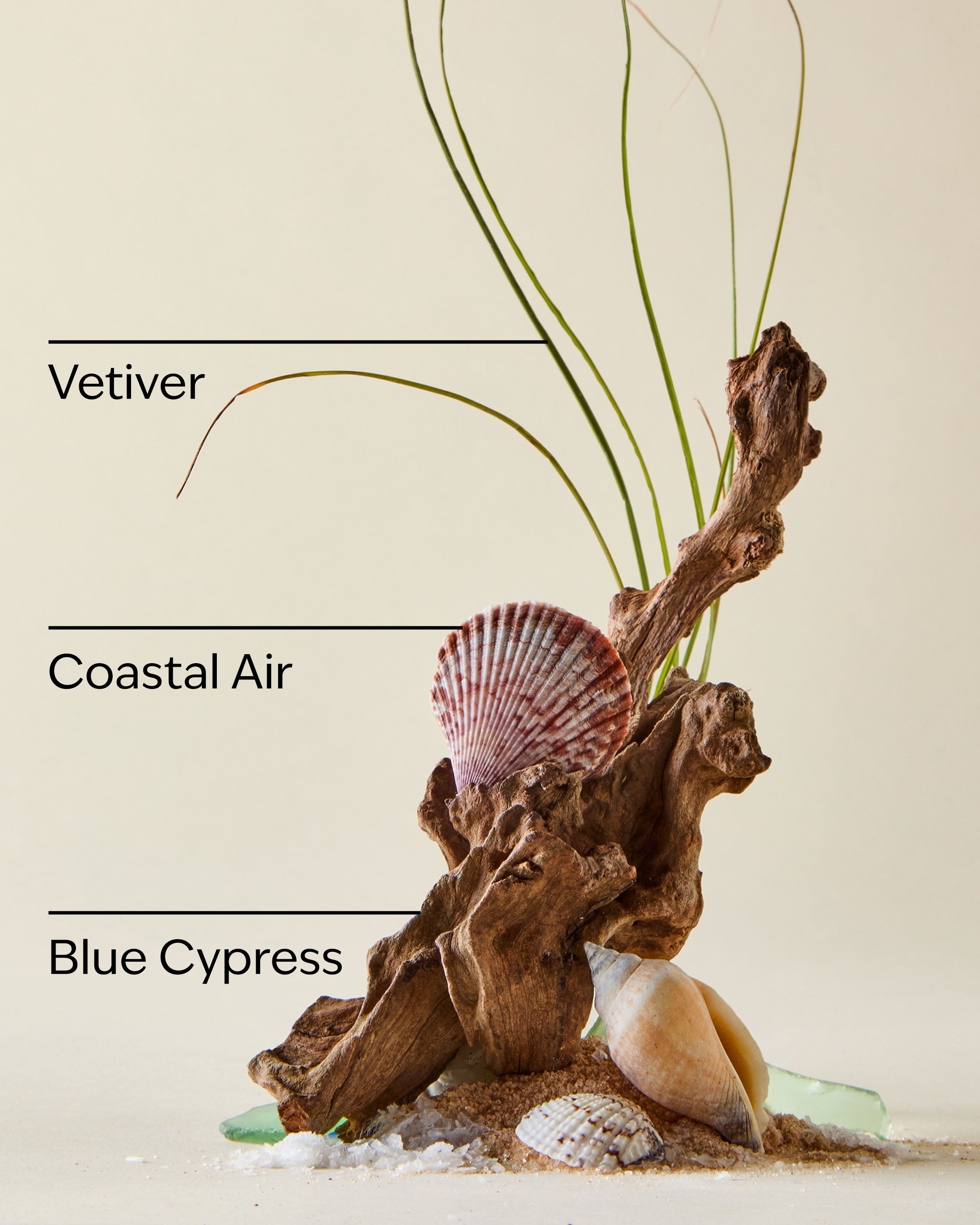 Ocean by Bath & Body Works - Image 3