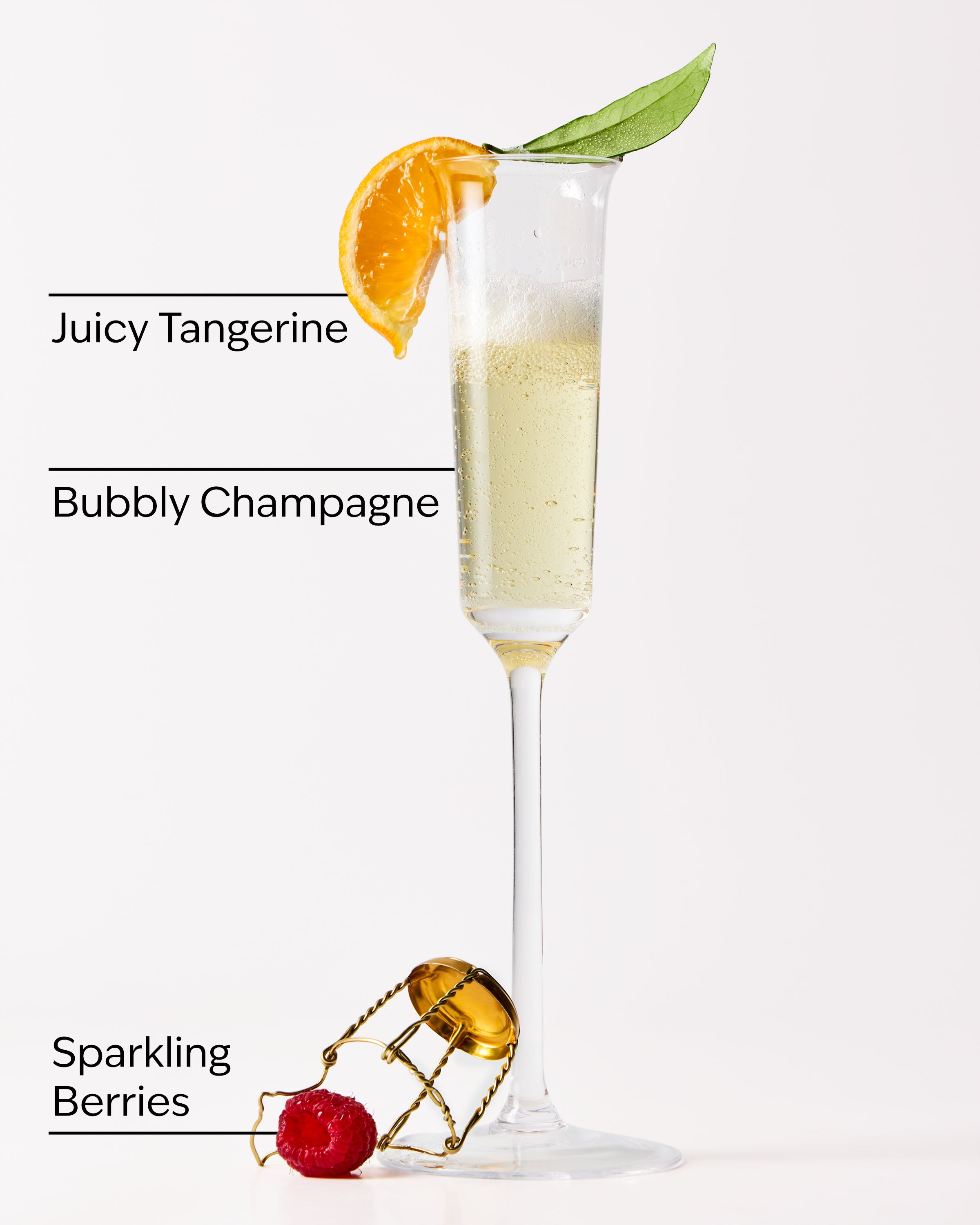 Champagne Toast - Image 2