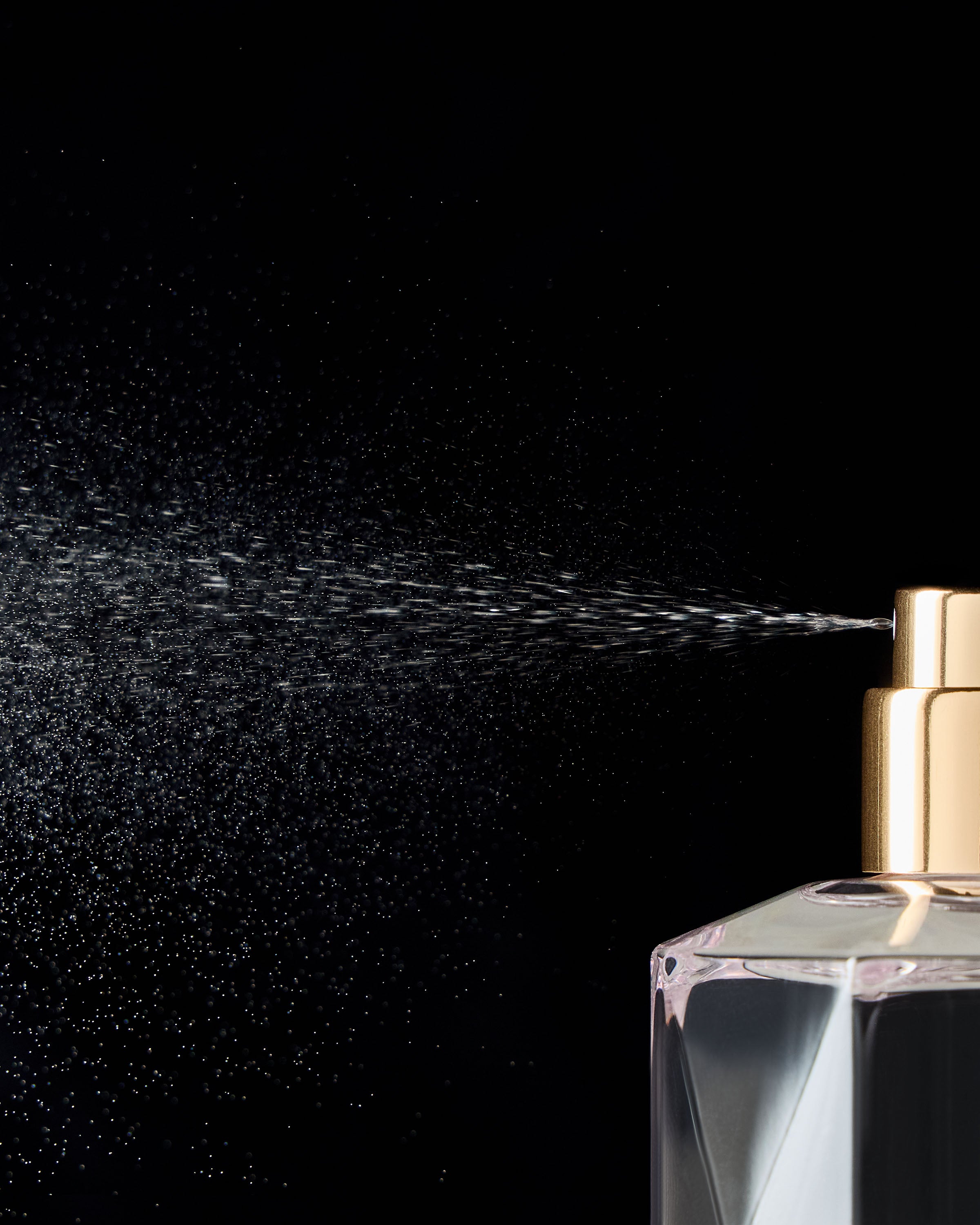 In the Stars Eau De Parfum - Image 5