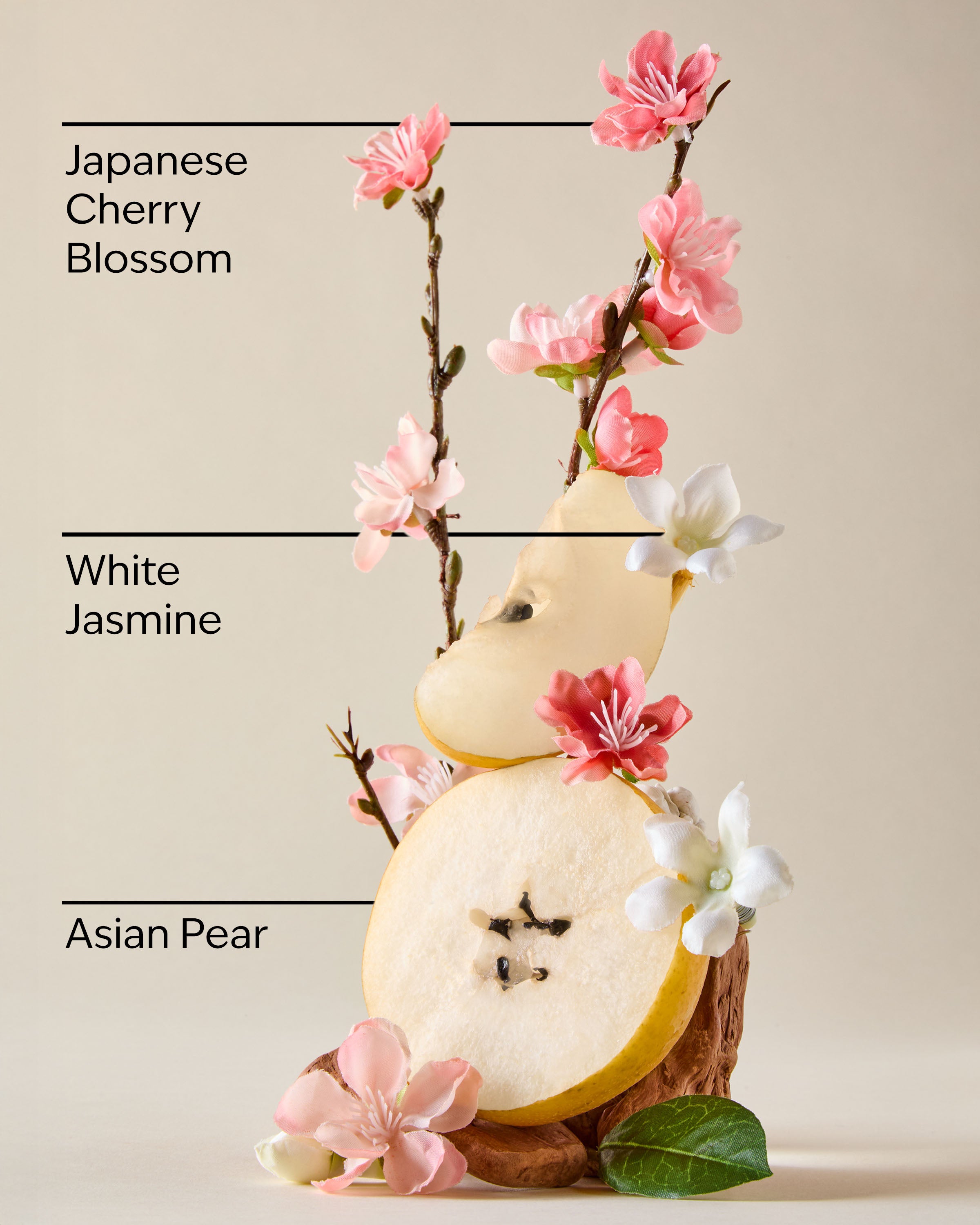 JAPANESE CHERRY BLOSSOM - Image 3
