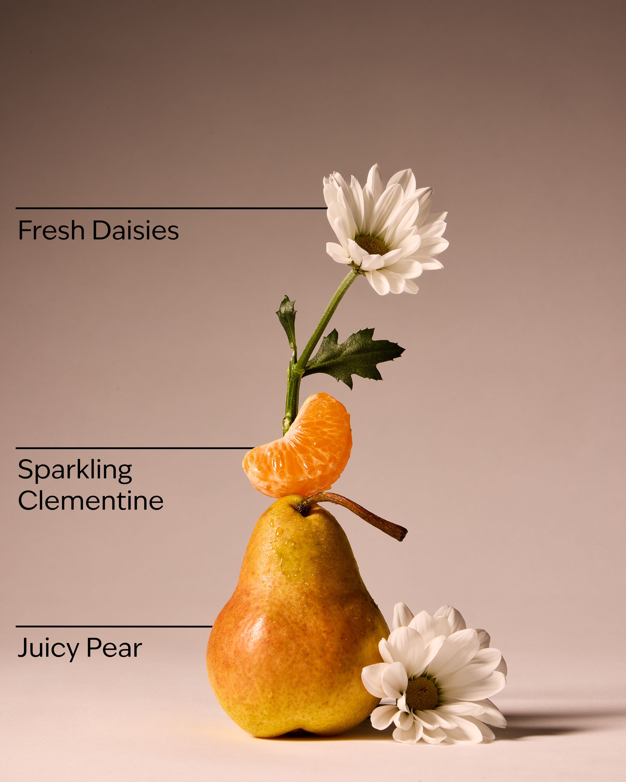 Gingham Fresh Body Wash - Image 3