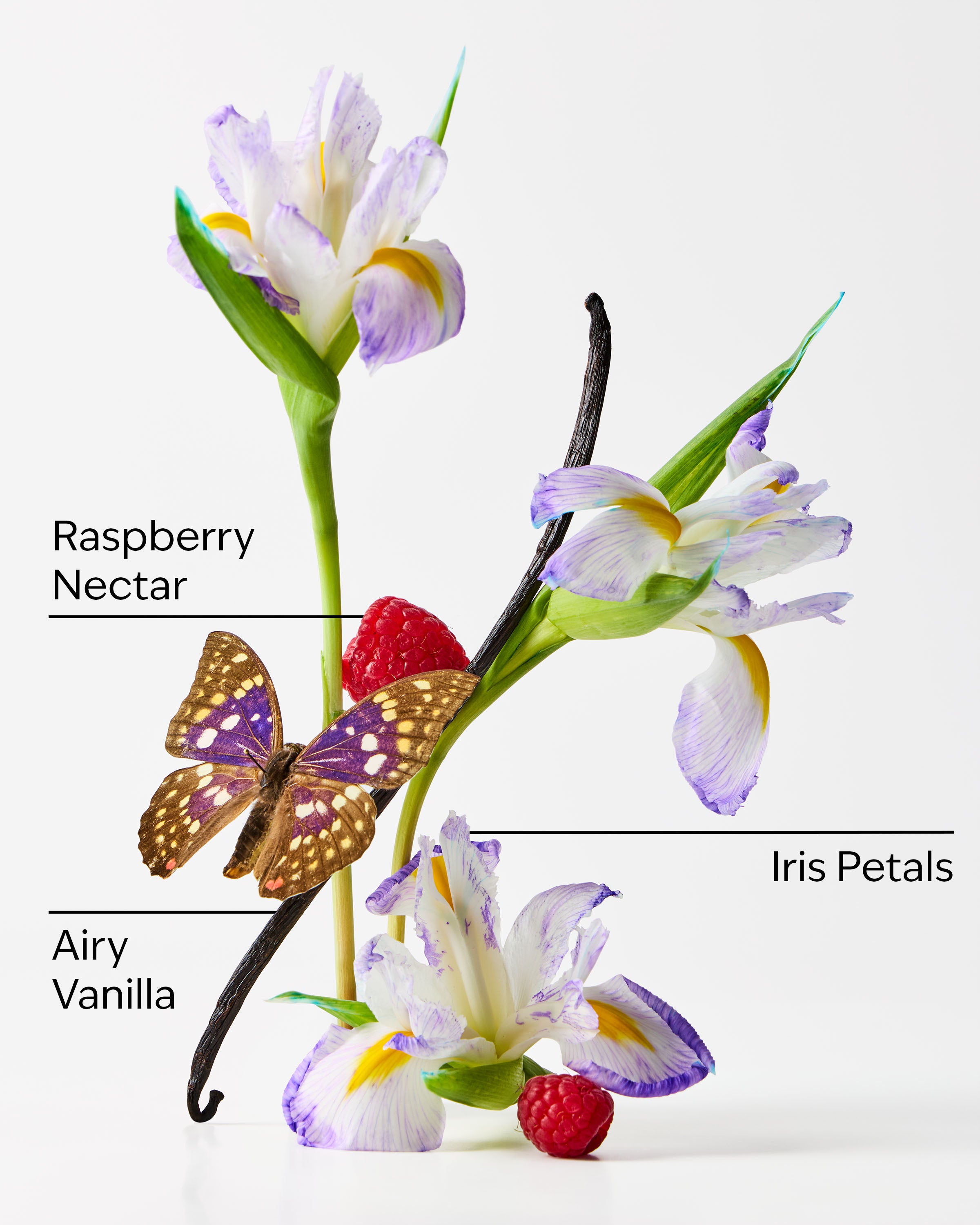 Butterfly - Image 3
