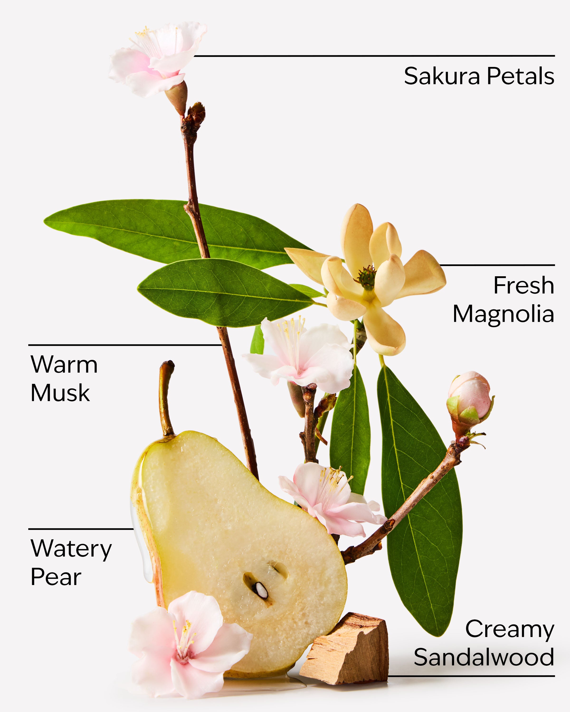 Forever Cherry Blossom Fine Fragrance Mist - Image 3