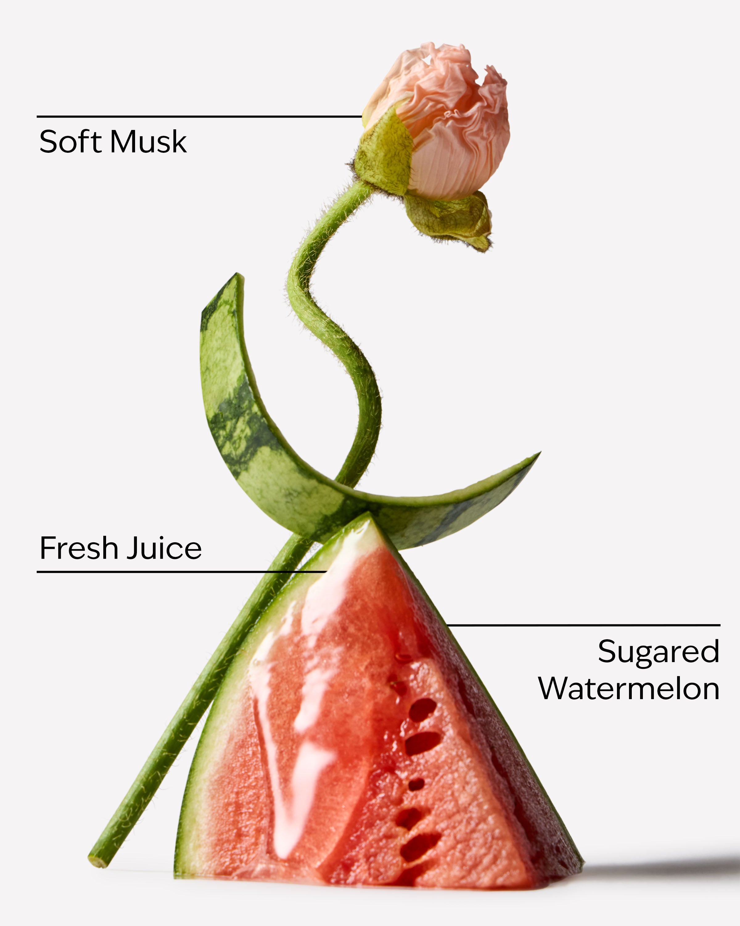 Watermelon Whirl - Image 2
