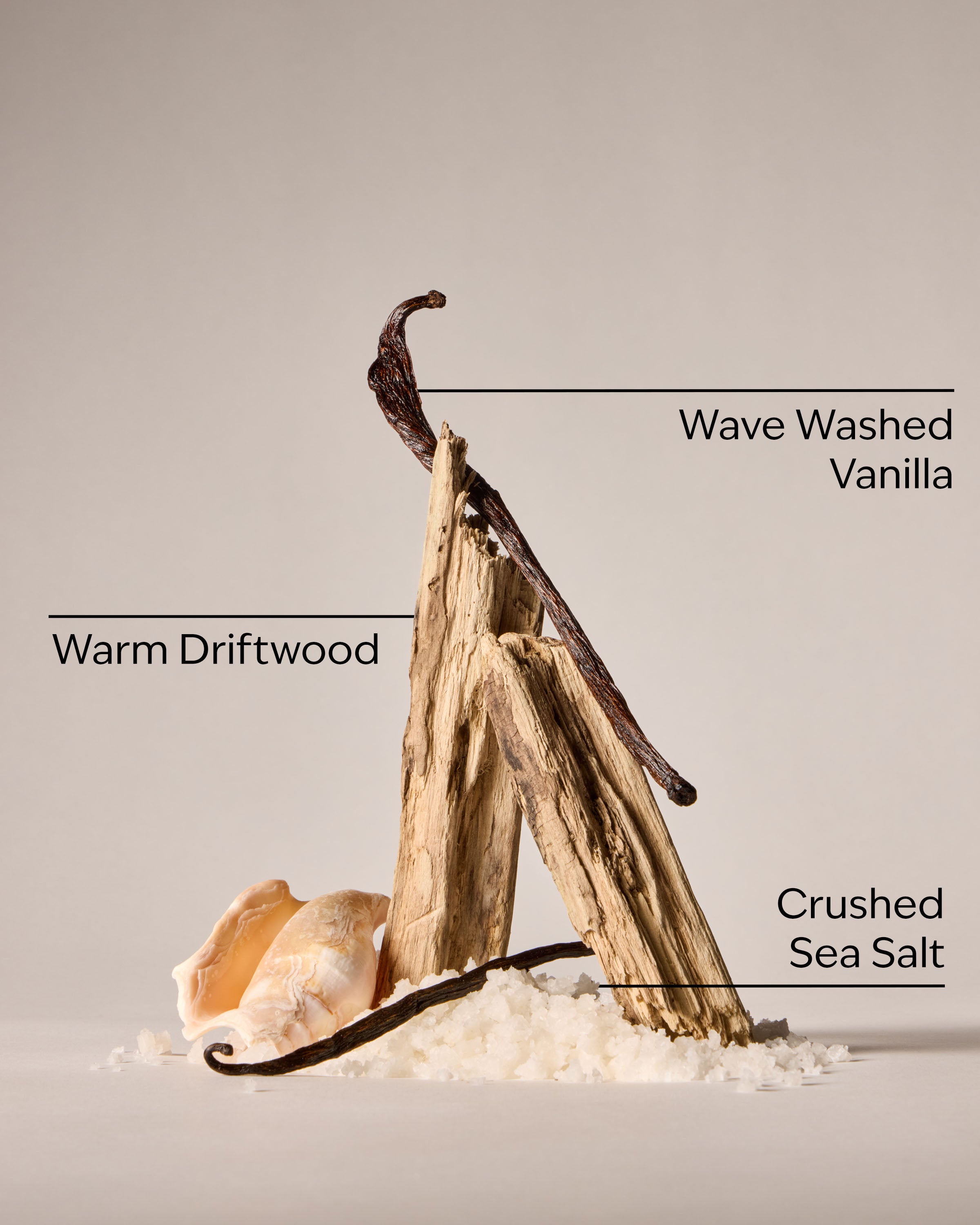 Coastal Dreaming Ultimate Hydration Body Cream - Image 3