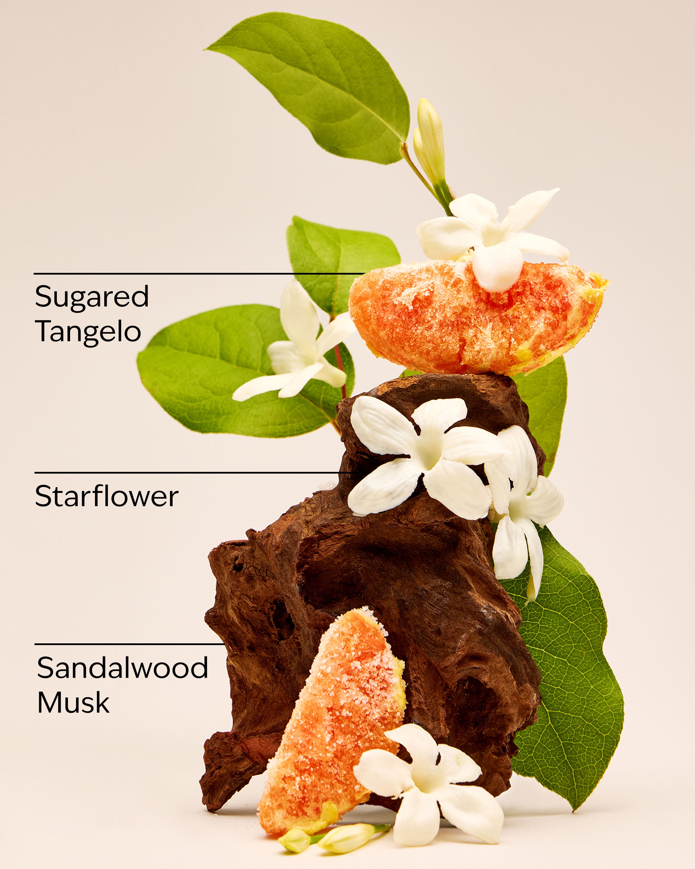In the Stars Travel Size Fine Fragrance Mist - Image 2