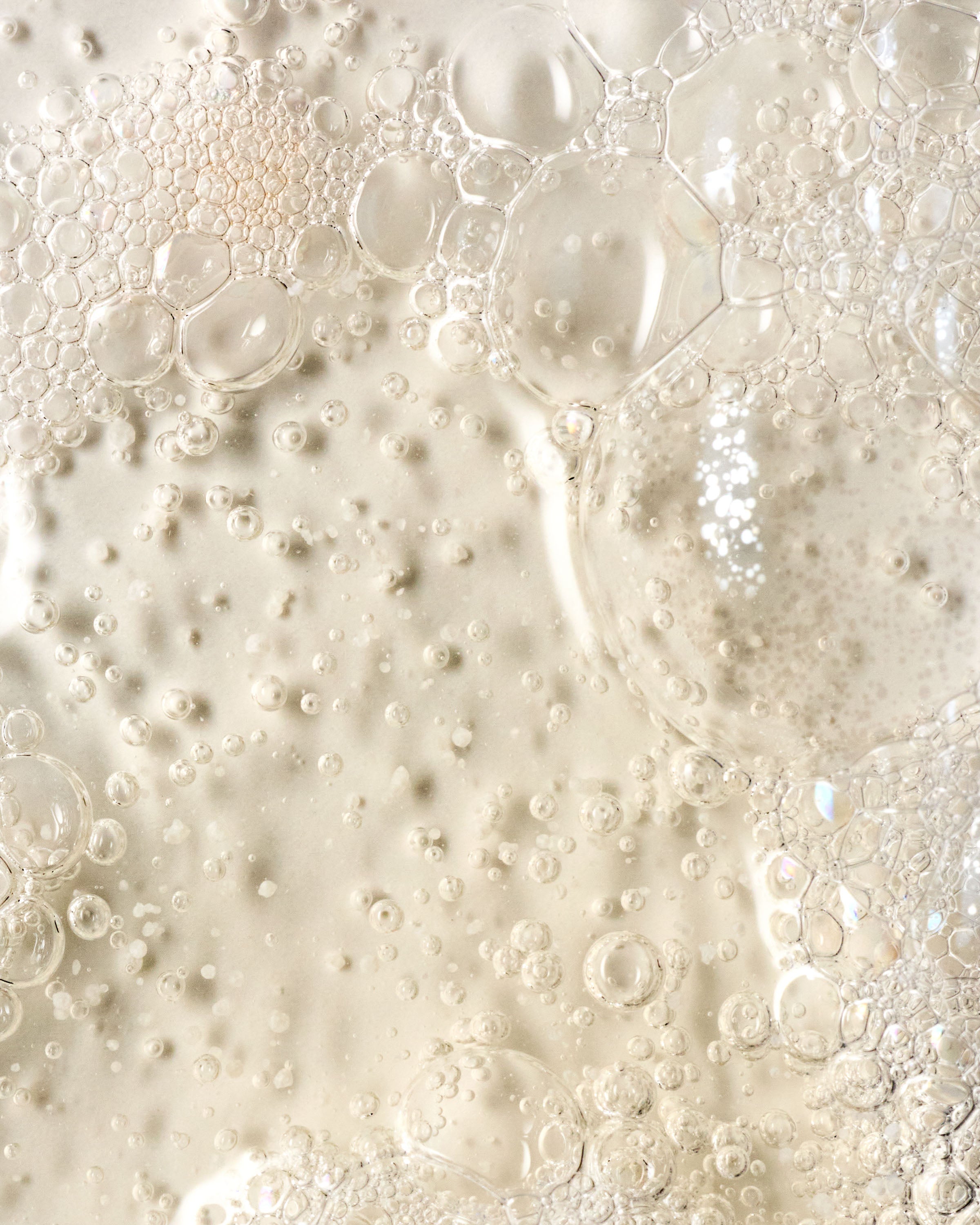 Champagne Toast Revitalizing Hand Soap - Image 4