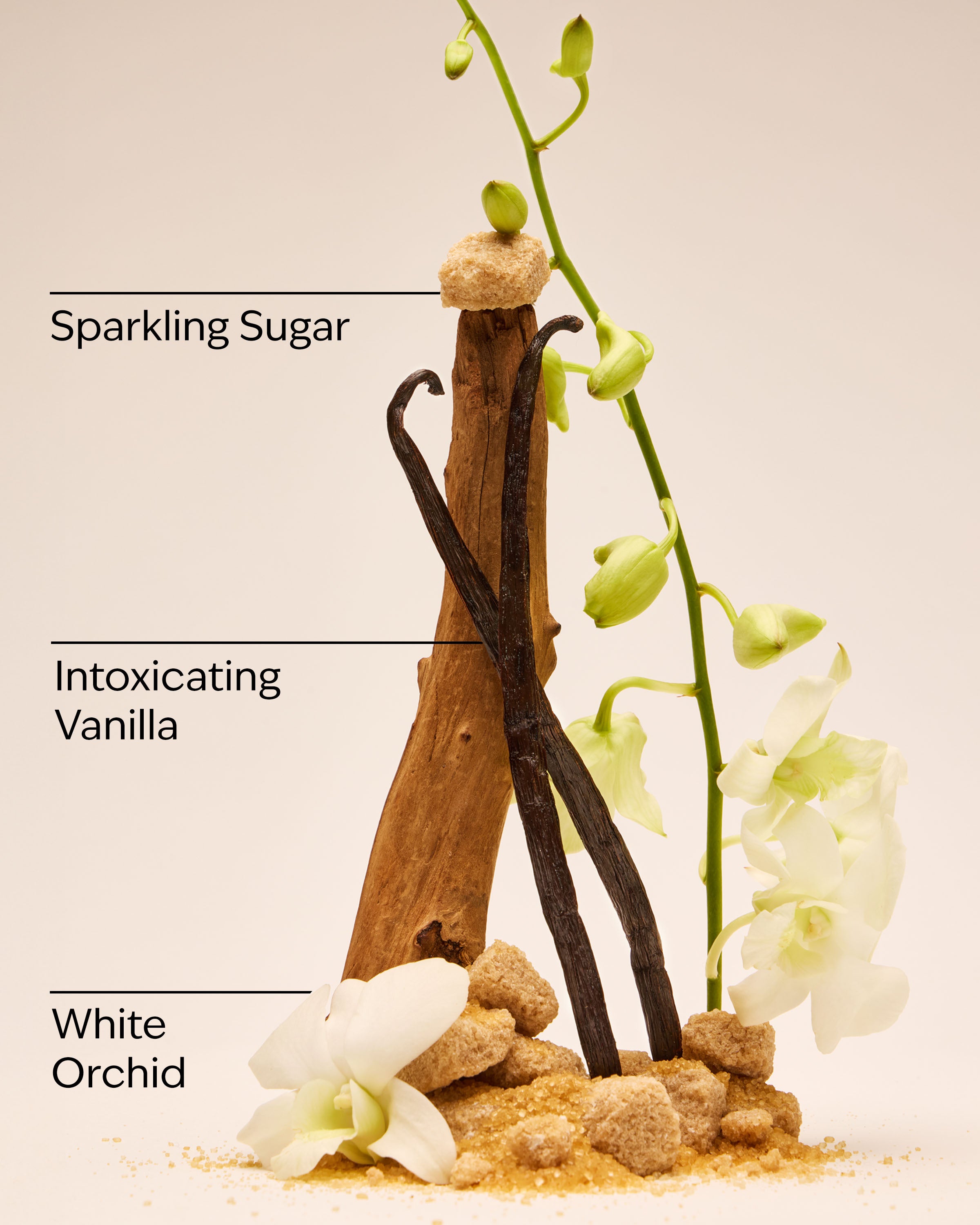 Warm Vanilla Sugar Moisturizing PocketBac Hand Sanitizer - Image 2