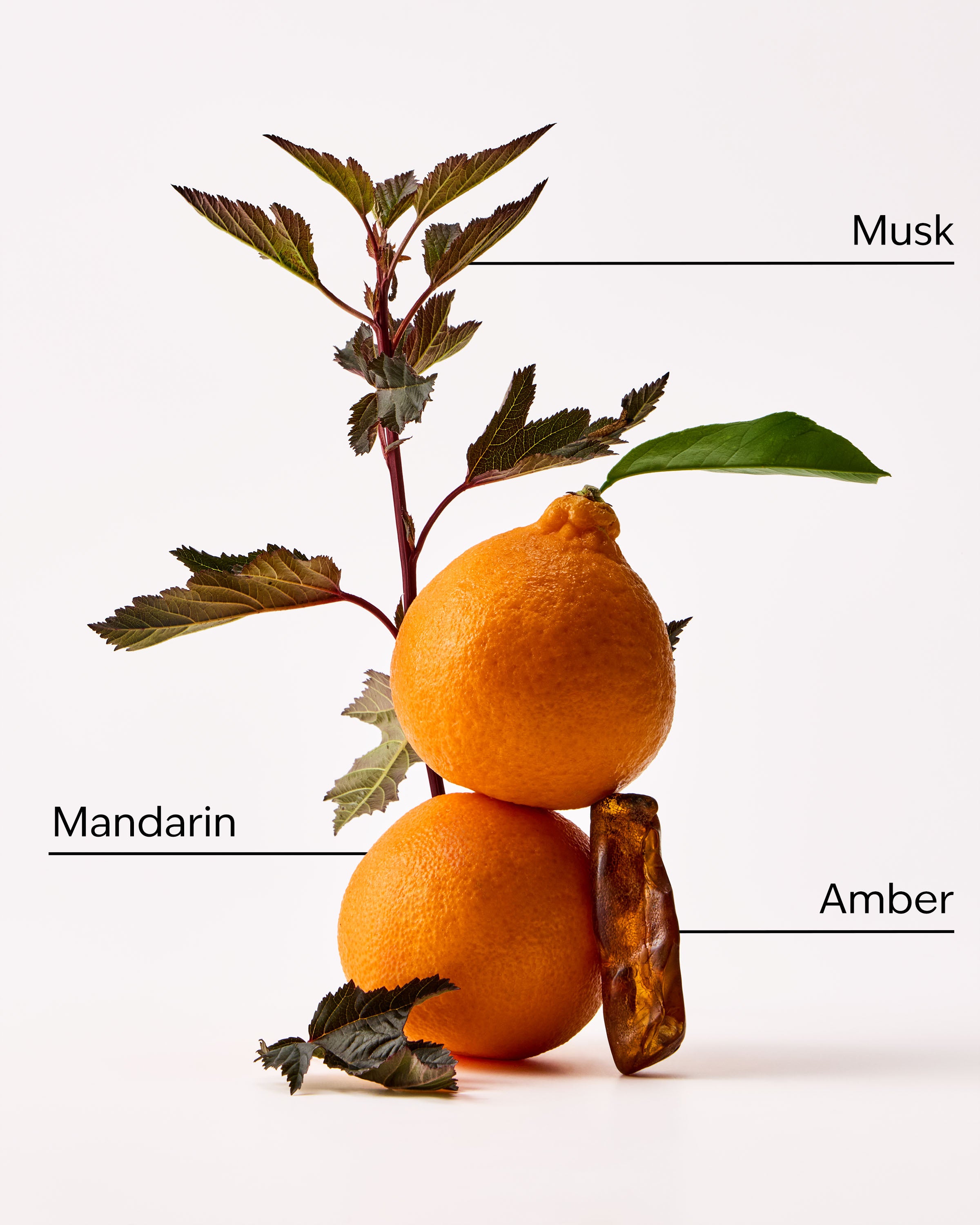 Cashmere Amber - Image 3