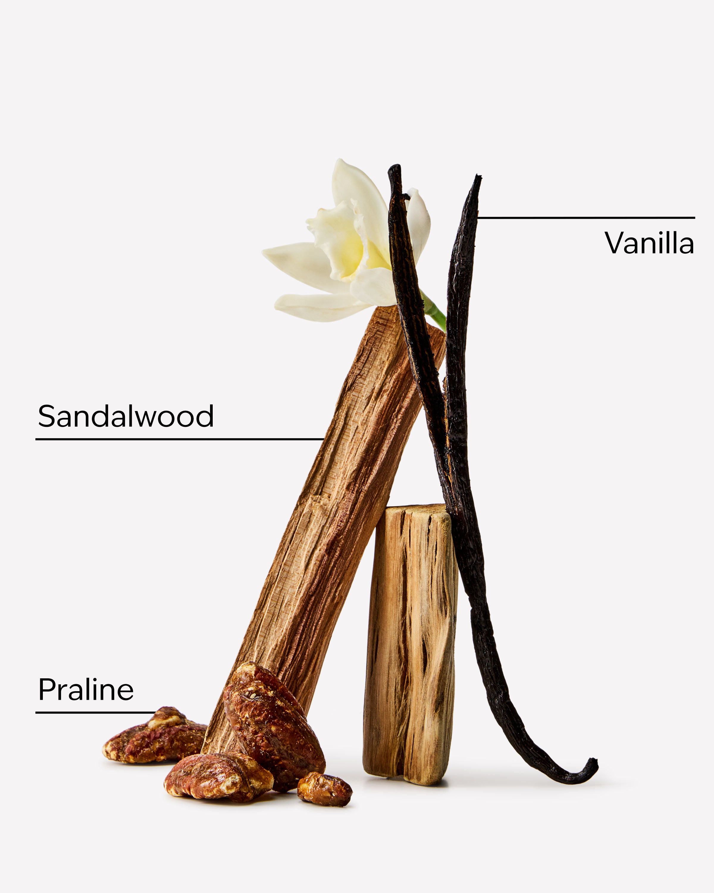 Vanilla Silk - Image 3
