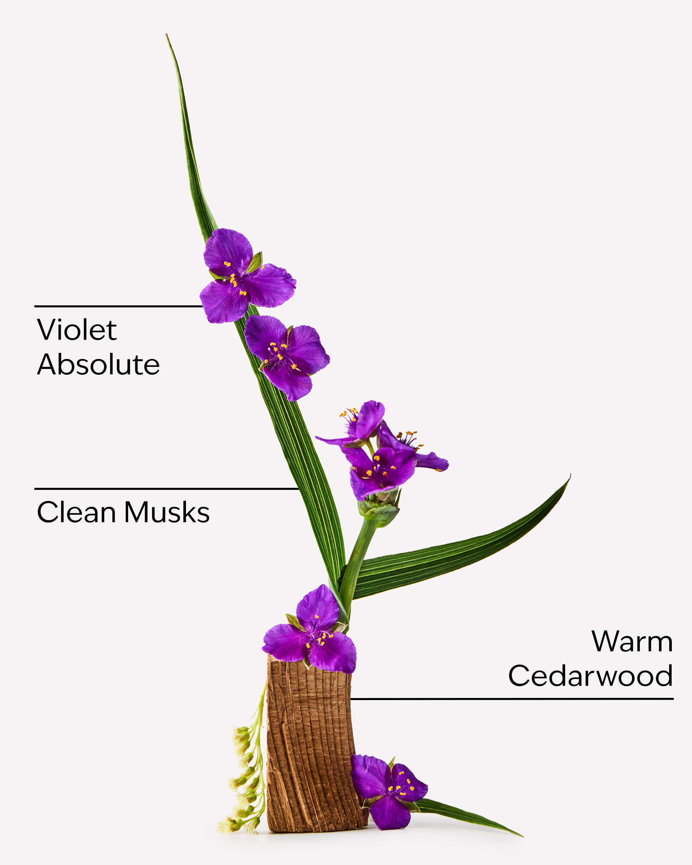 Very Violet By Bath & Body Works - Image 3