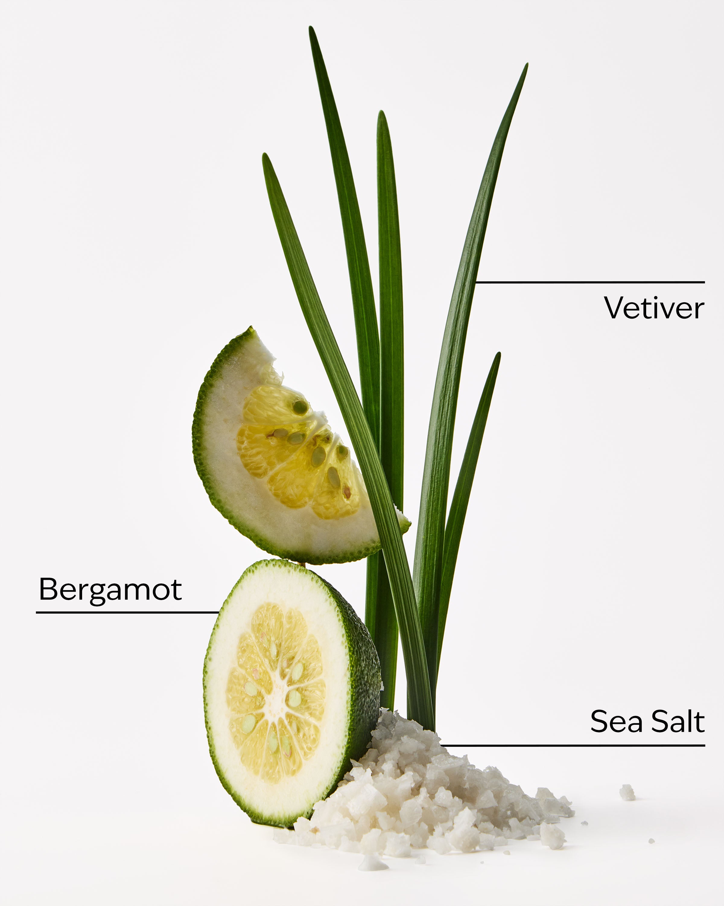 Sea Salt + Musk Single Wick Candle - Image 3