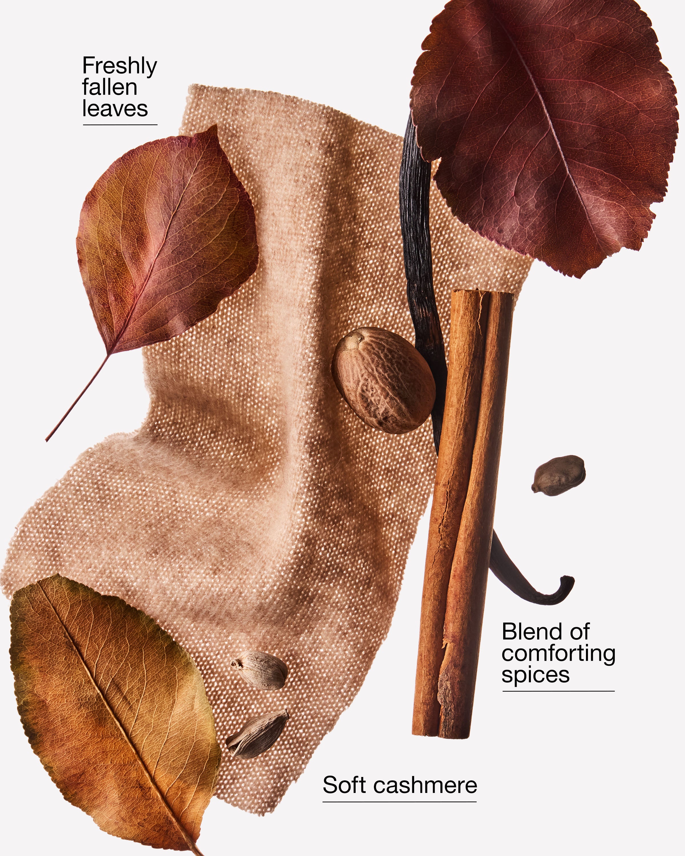 NEW! Falling Leaves & Cashmere - Image 3