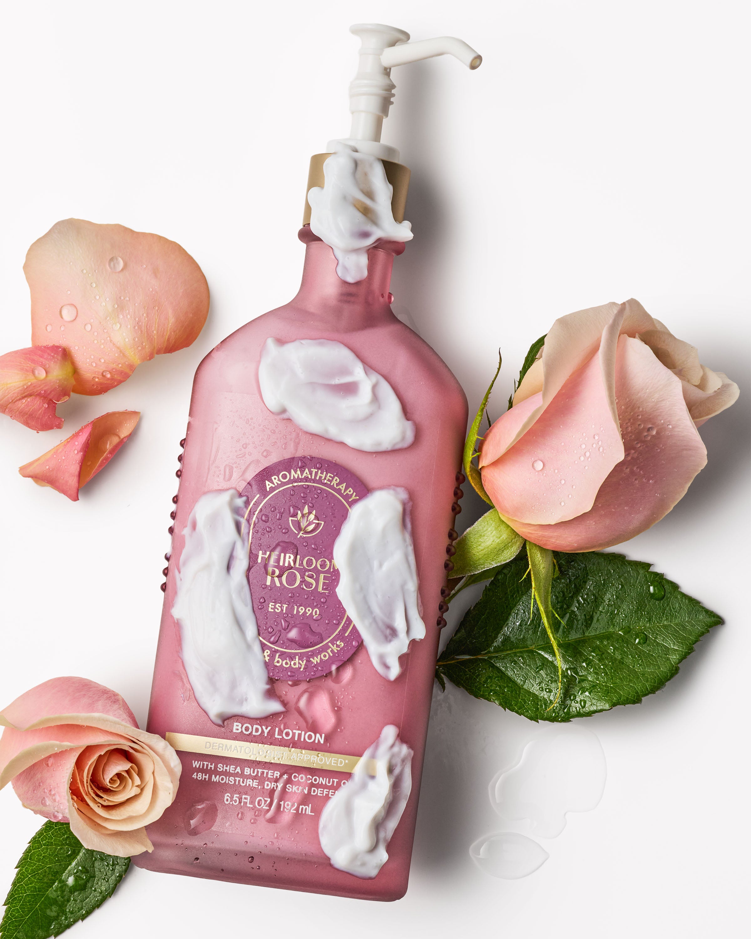 HEIRLOOM ROSE - Image 4