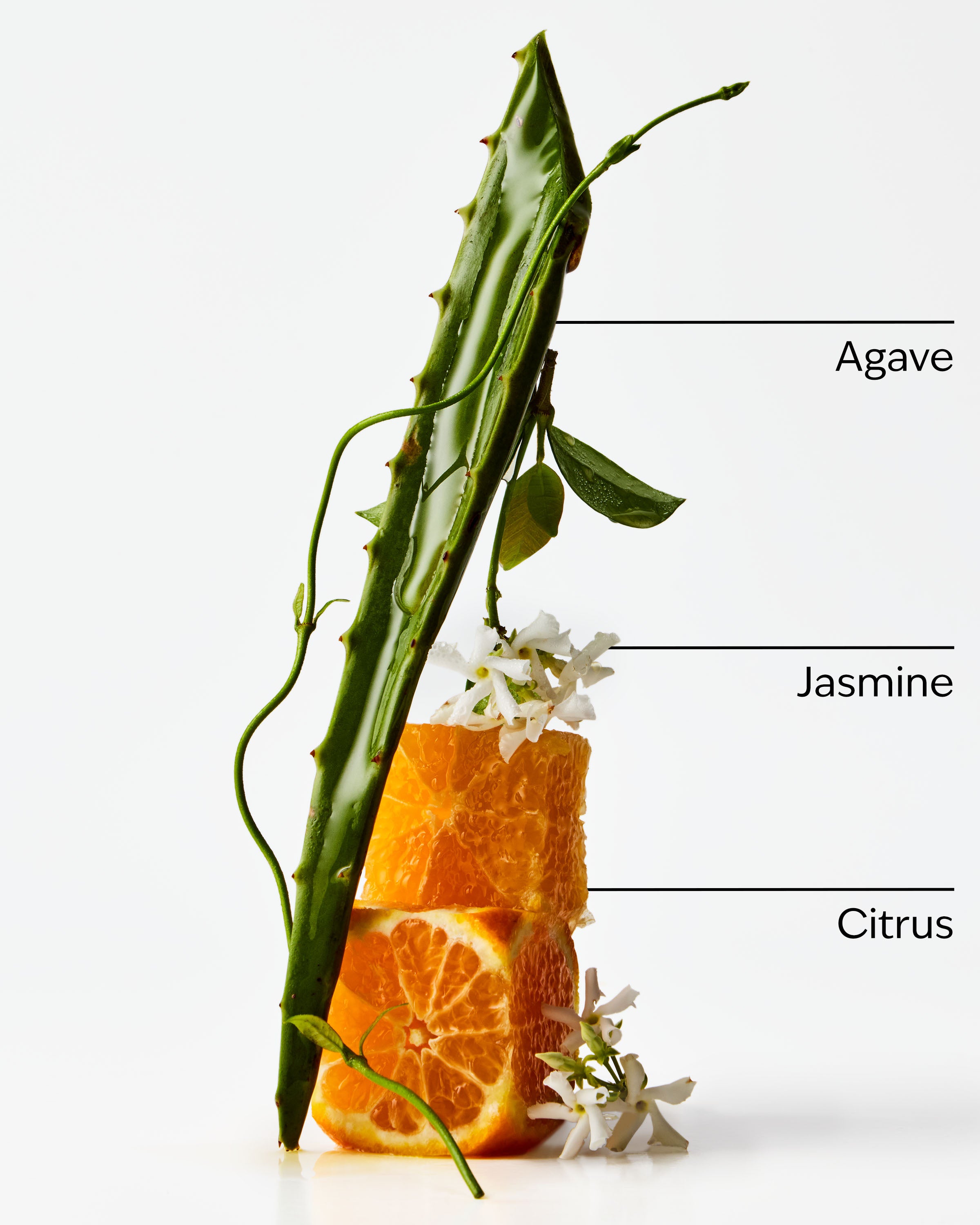 Sweet Orange + Agave Room Mist - Image 2