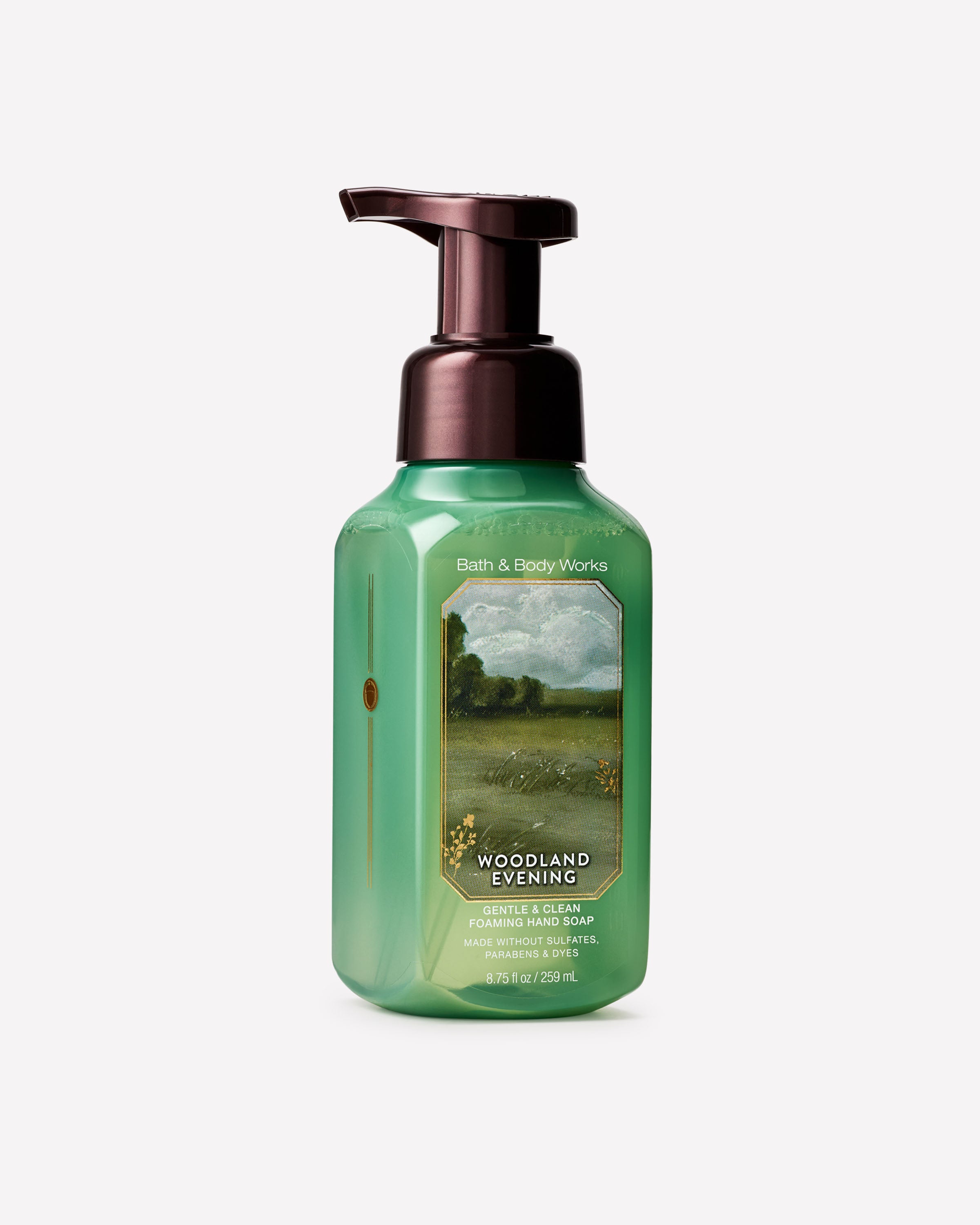New! Woodland Evening