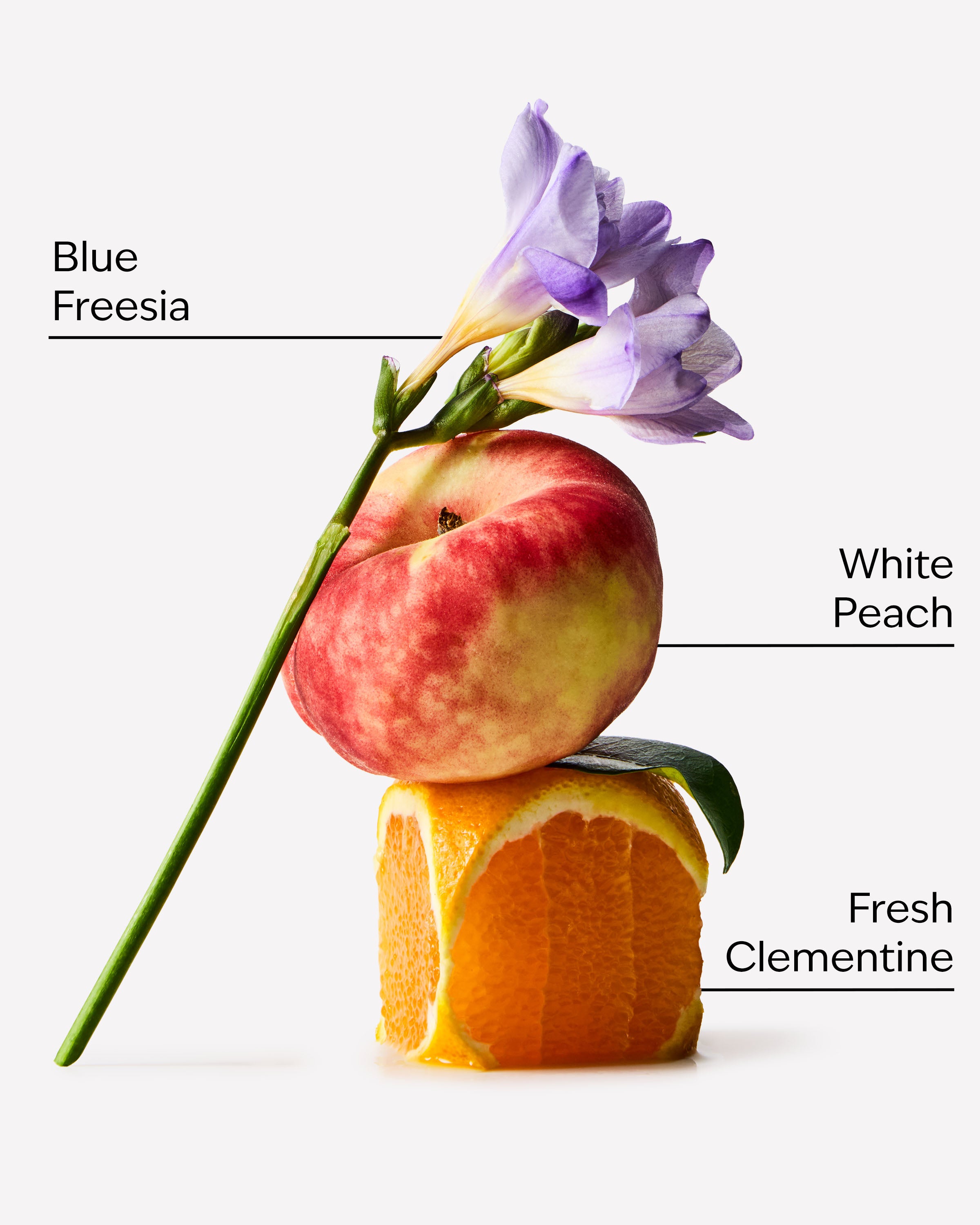 Gingham - Image 3