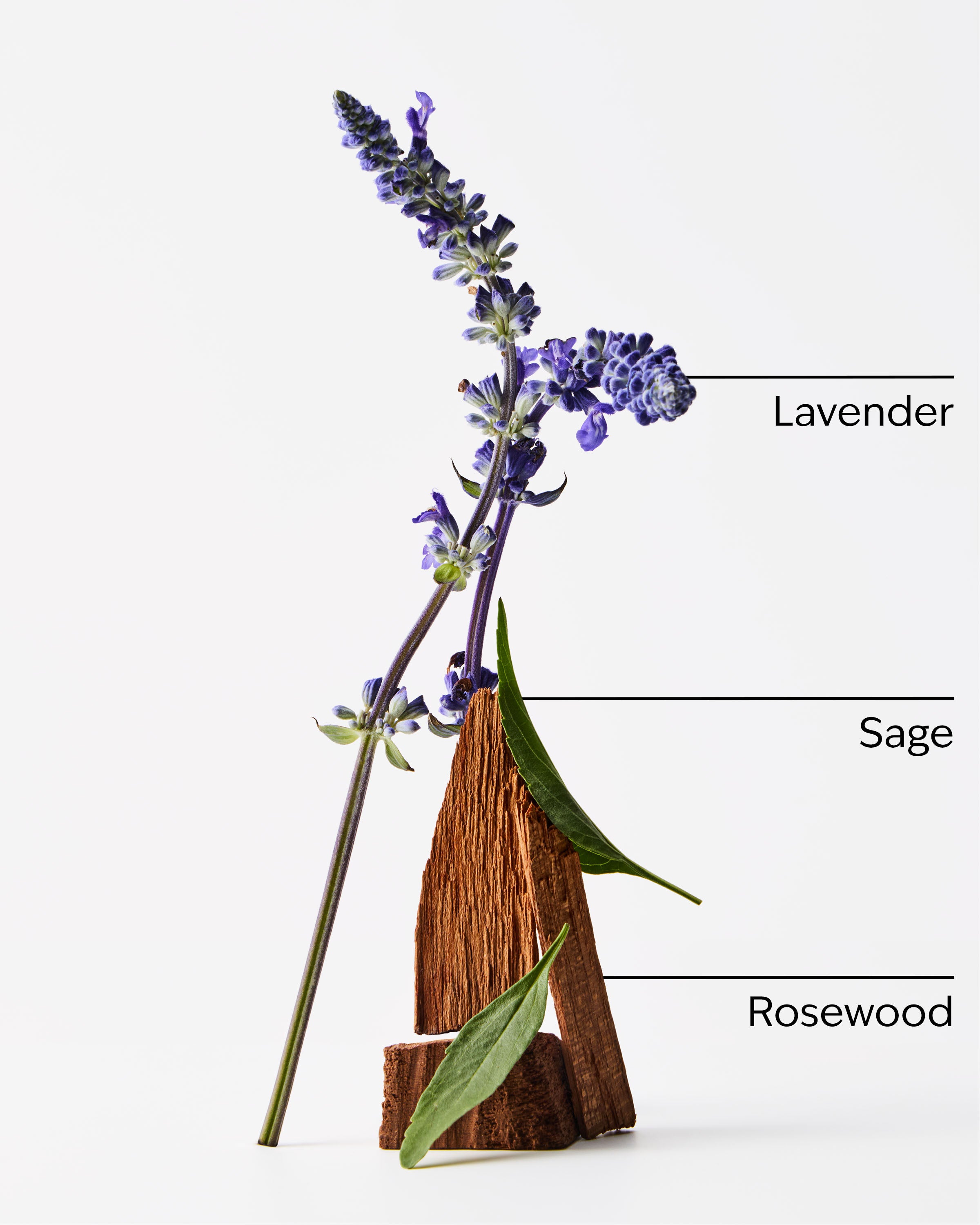 Lavender + Jasmine Wallflowers Fragrance Refill - Image 2