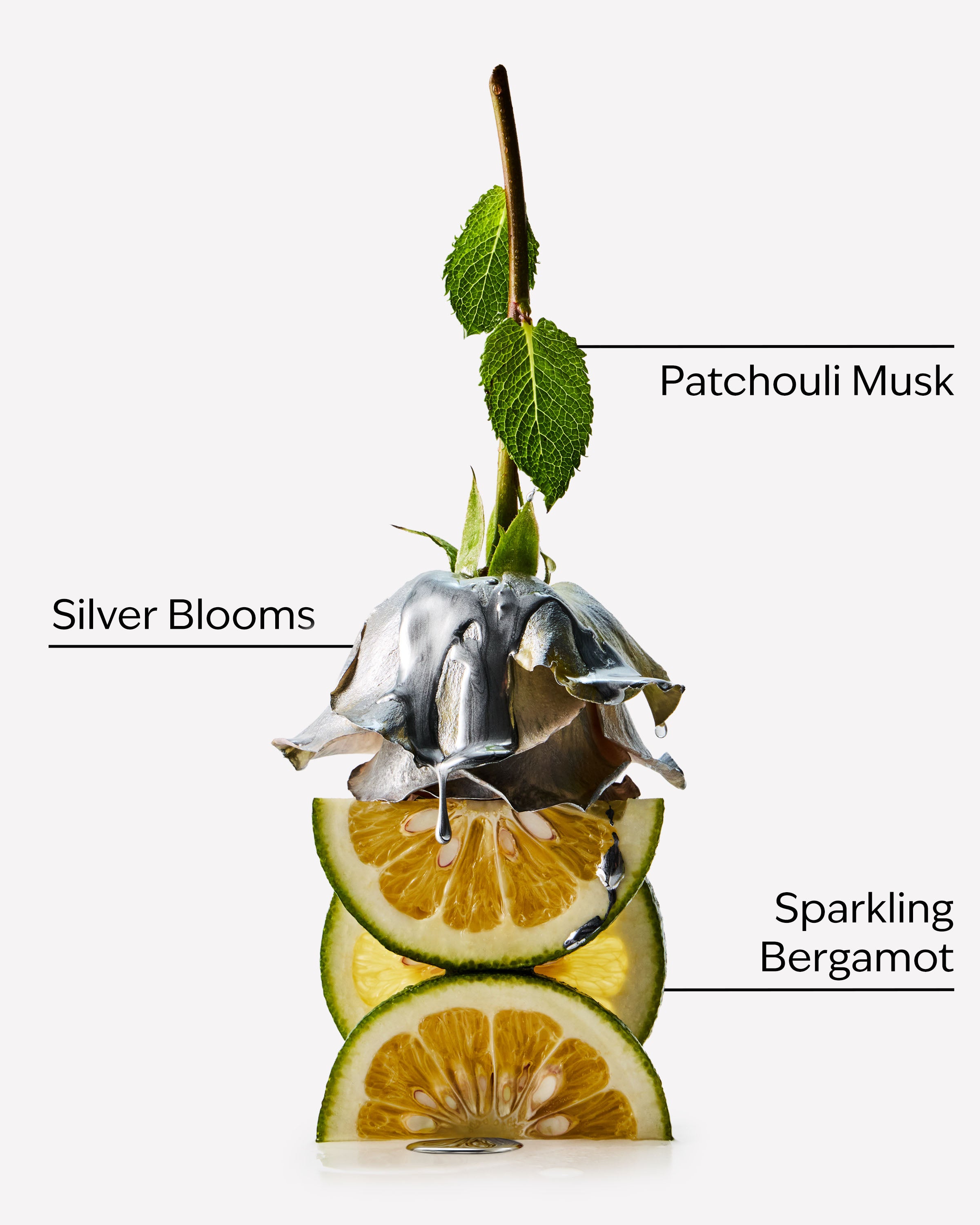 Platinum - Image 3