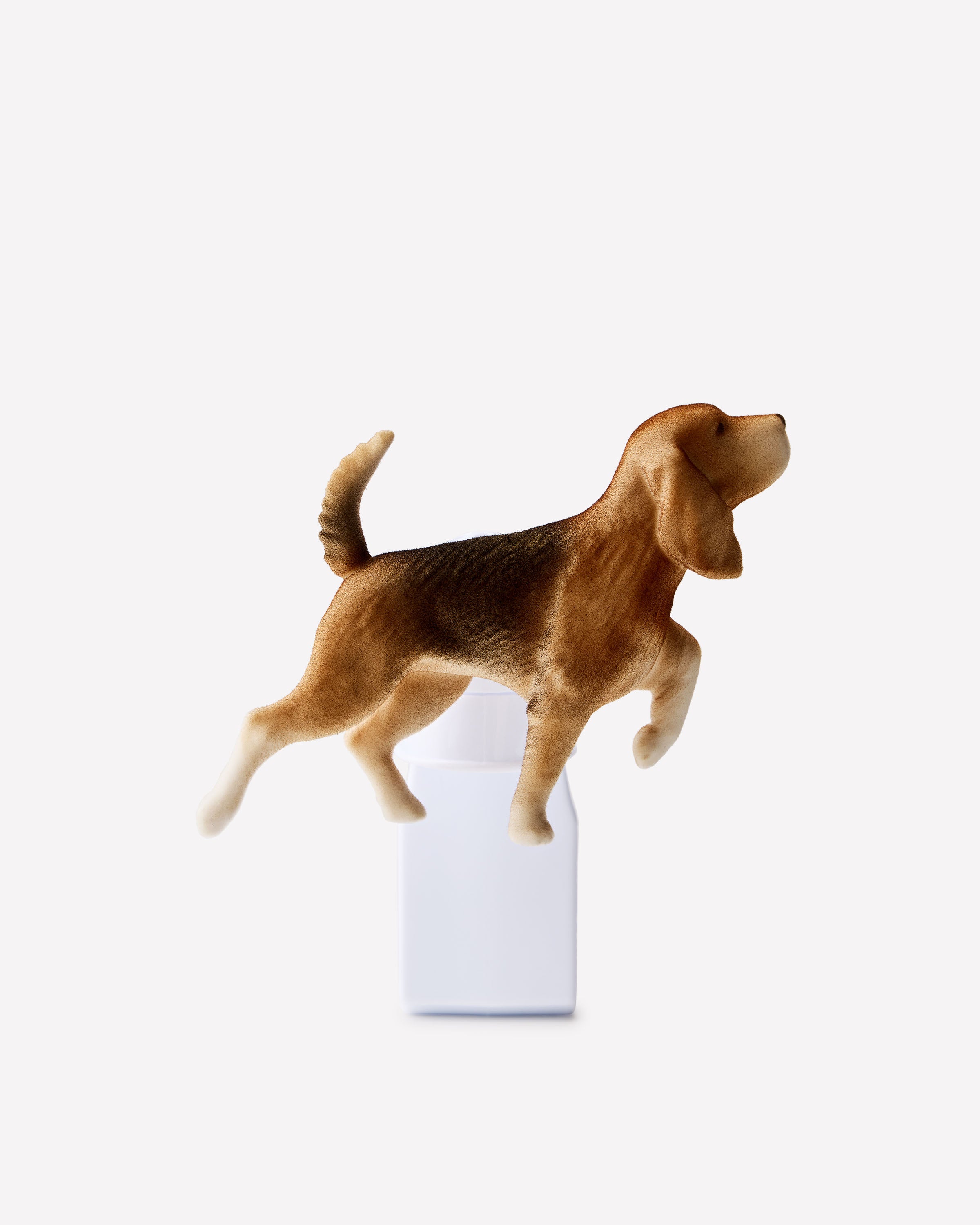 Sporting Dog