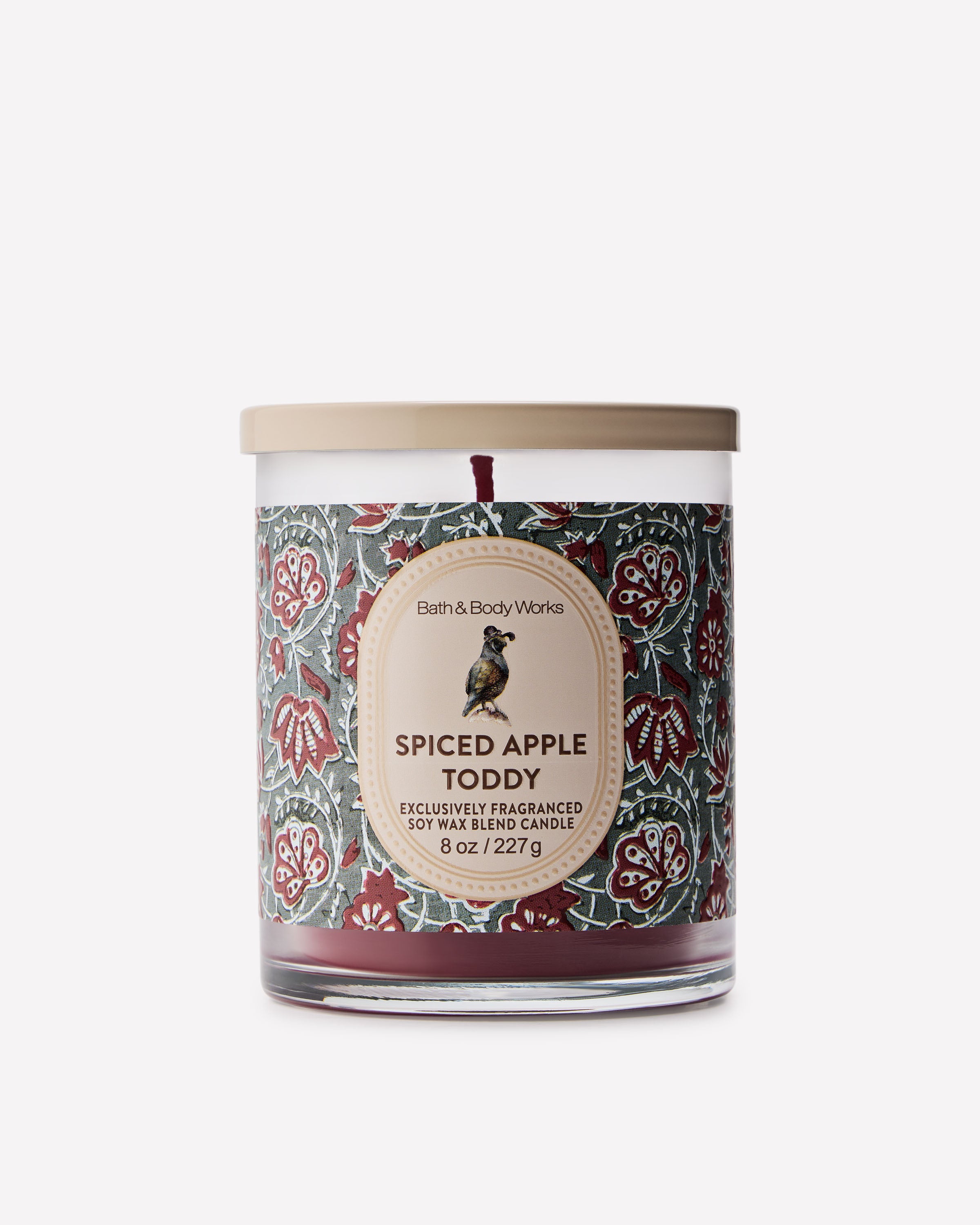 Spiced Apple Toddy