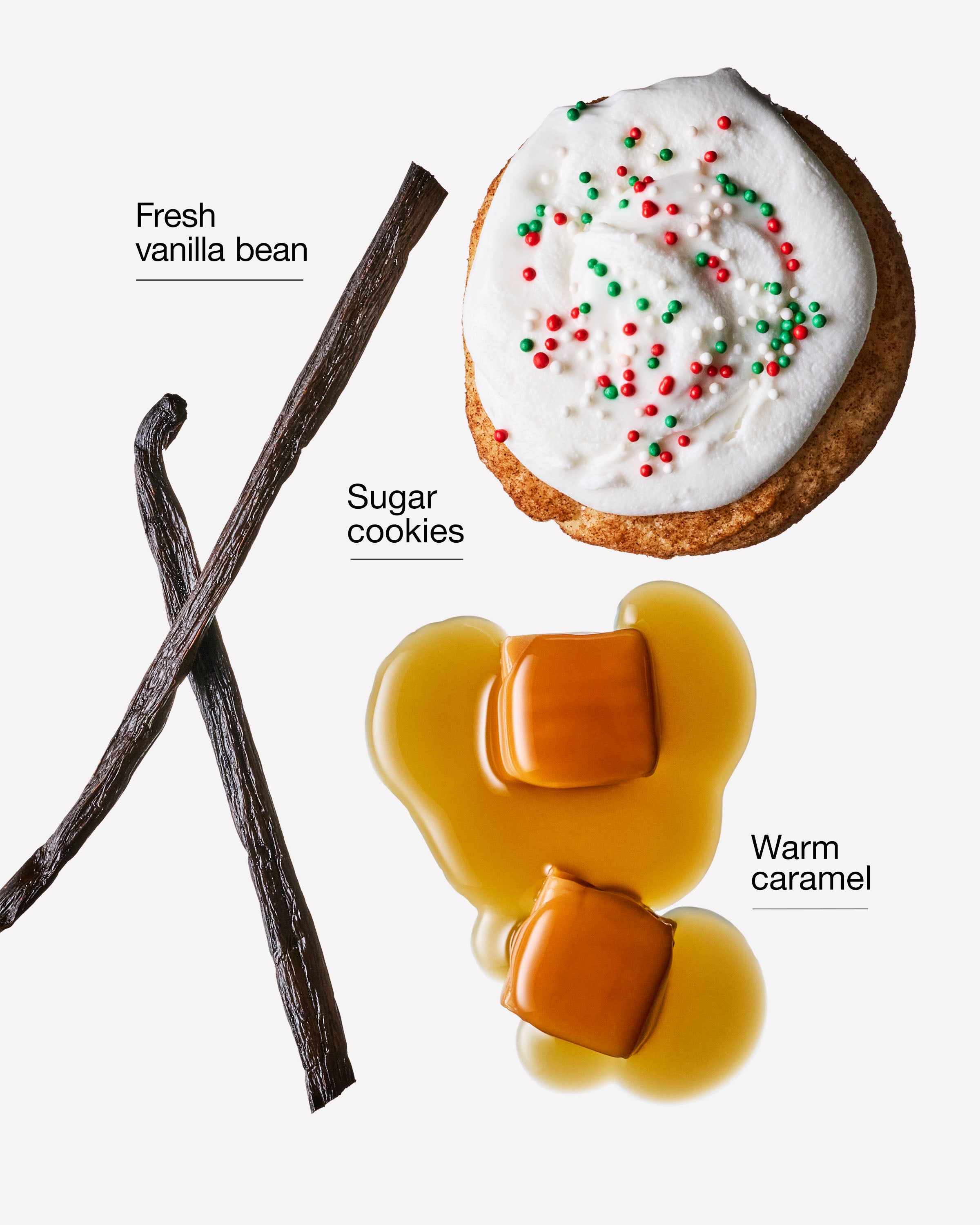 Vanilla Bean Noel Wallflowers Refills 2-Pack - Image 2